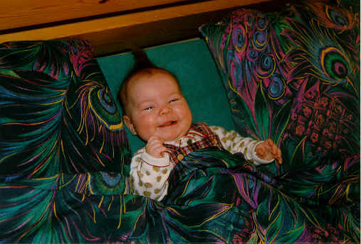 05.jpg (31092 octets)