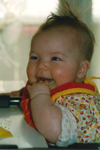 08.jpg (16923 octets)