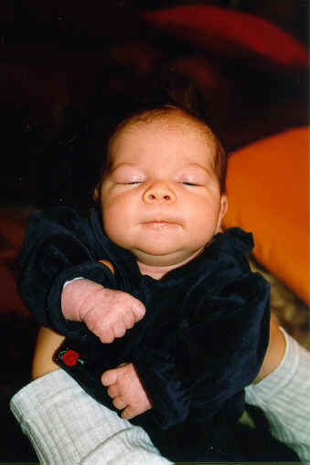 LaurianeVit6.bmp (520258 octets)